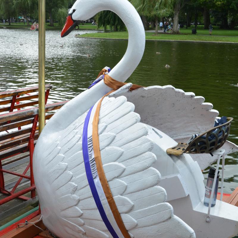 Swan Boats wearing sashes.