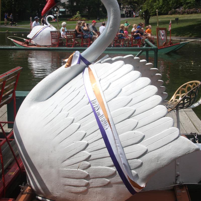 Swan boat wearing sash.